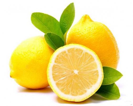 فروشنده لیمو ترش زرد با بهترین کیفیت